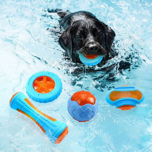 Floating Outdoor Dog Chew Toy | Interactive Waterproof TPR Stick & Ring